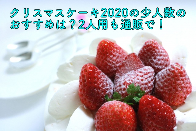 クリスマスケーキの少人数のおすすめは 2人用も通販で 晴れ女のエンタメラボ
