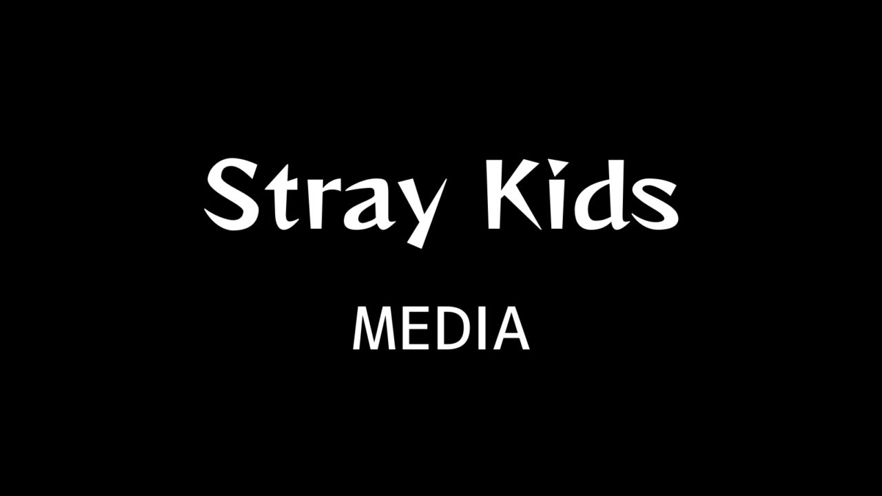 straykids テレビ
