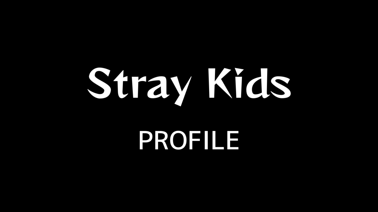 stray kids プロフィール